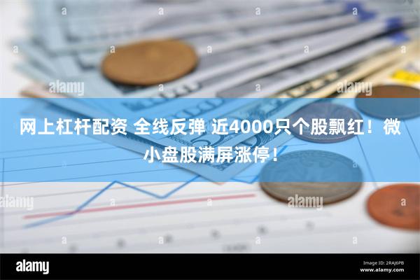 网上杠杆配资 全线反弹 近4000只个股飘红！微小盘股满屏涨停！