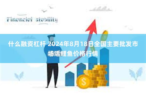 什么融资杠杆 2024年8月18日全国主要批发市场活鲤鱼价格行情