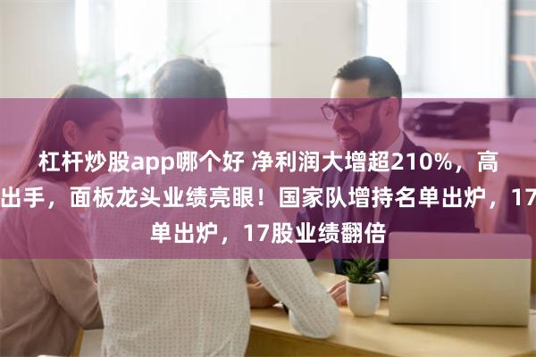 杠杆炒股app哪个好 净利润大增超210%，高毅资产再度出手，面板龙头业绩亮眼！国家队增持名单出炉，17股业绩翻倍