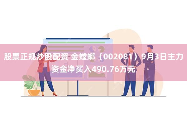 股票正规炒股配资 金螳螂（002081）9月3日主力资金净买入490.76万元