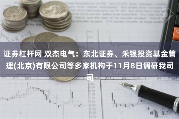 证券杠杆网 双杰电气：东北证券、禾银投资基金管理(北京)有限公司等多家机构于11月8日调研我司