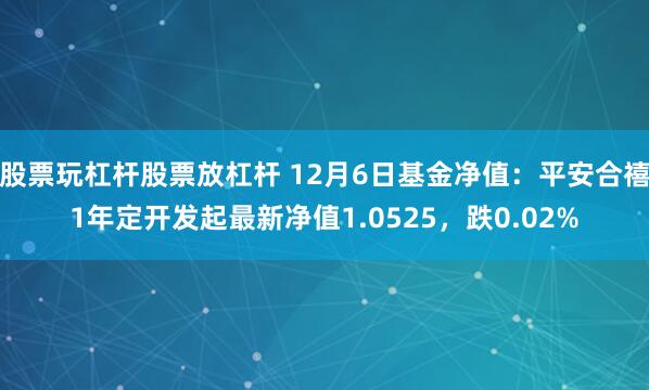 股票玩杠杆股票放杠杆 12月6日基金净值：平安合禧1年定开发起最新净值1.0525，跌0.02%