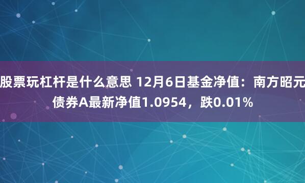 股票玩杠杆是什么意思 12月6日基金净值：南方昭元债券A最新净值1.0954，跌0.01%