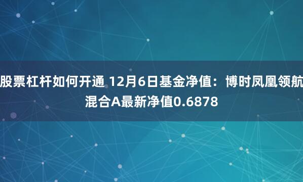 股票杠杆如何开通 12月6日基金净值：博时凤凰领航混合A最新净值0.6878