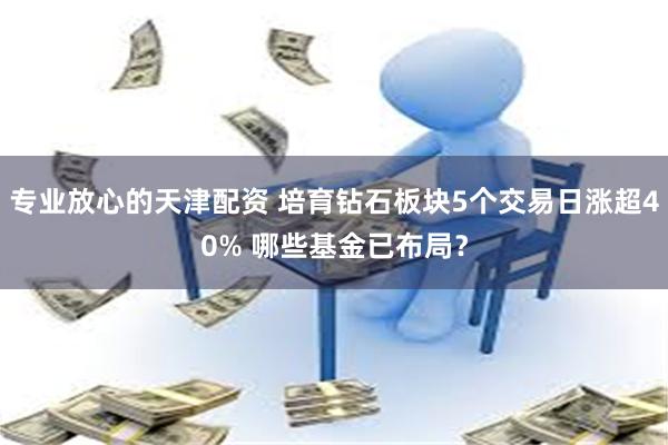 专业放心的天津配资 培育钻石板块5个交易日涨超40% 哪些基金已布局？