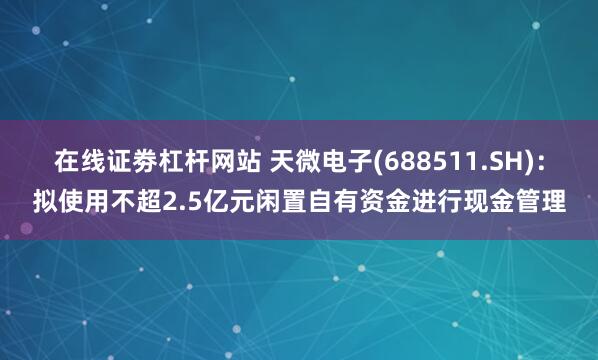 在线证劵杠杆网站 天微电子(688511.SH)：拟使用不超2.5亿元闲置自有资金进行现金管理