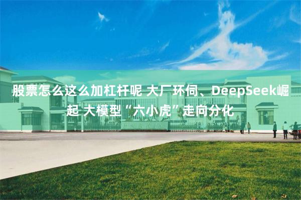 股票怎么这么加杠杆呢 大厂环伺、DeepSeek崛起 大模型“六小虎”走向分化