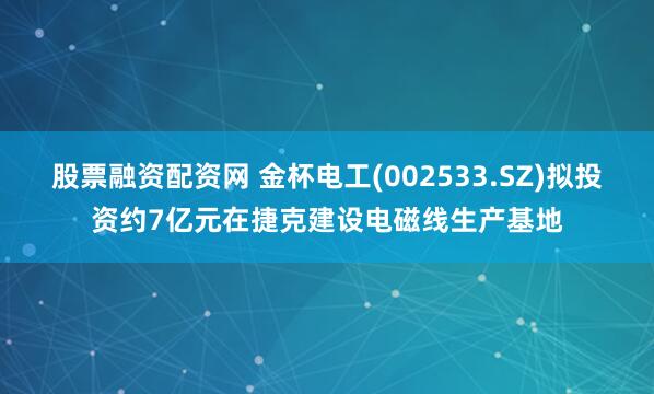 股票融资配资网 金杯电工(002533.SZ)拟投资约7亿元在捷克建设电磁线生产基地